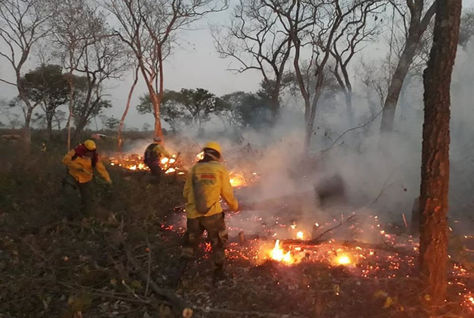 Equipos de rescate realizan trabajos para tratar de mitigar el fuego en la Chiquitania, Santa Cruz.