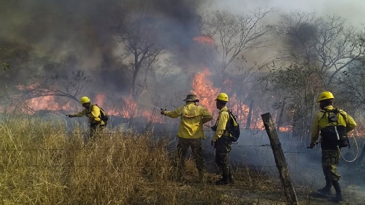 Incendios en Bolivia (AFP)