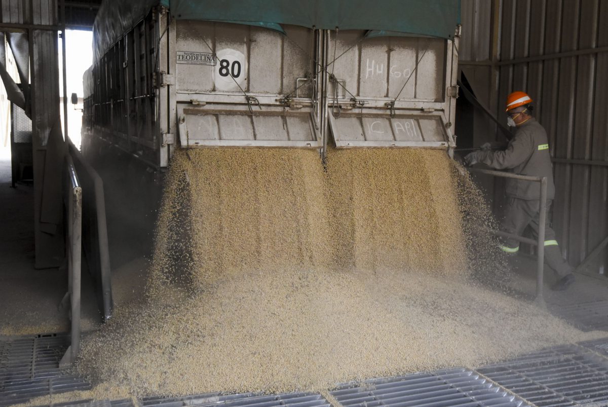 Un cargamento de soja en Argentina