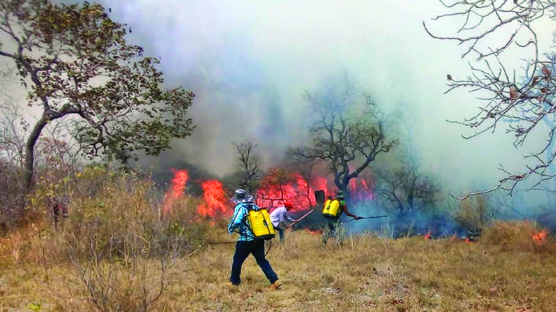 San Matías, el municipio “sin Estado” devorado por el fuego