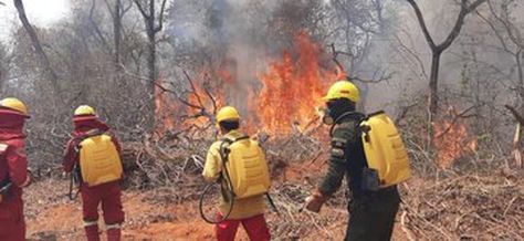 Bomberos continúan trabajando en el sofocado de los incendios en la Chiquitanía. Foto: Policía Boliviana