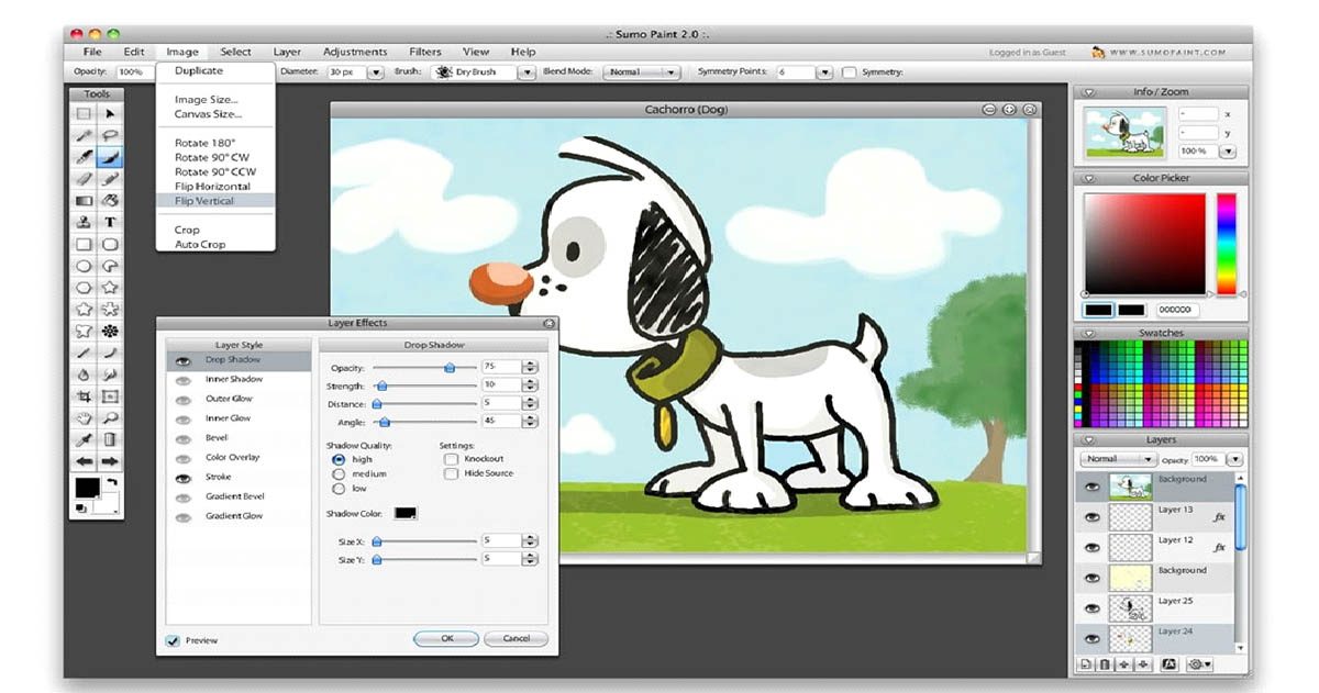 Sumo Paint extension