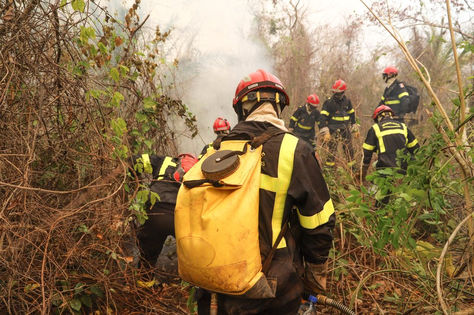 Bomberos franceses ingresan a uno de los focos de incendio. Foto: Embajada de Francia