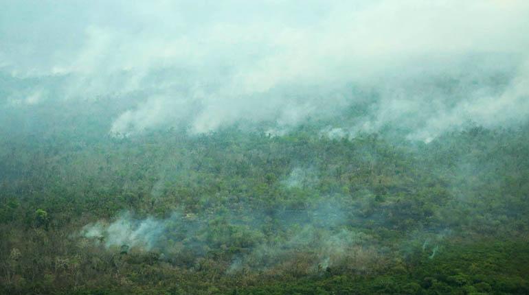 Los incendios que continúan en la Chiquitanía. | Gob. Santa Cruz