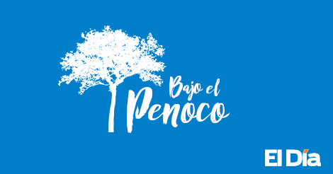 Eficiencia-politica