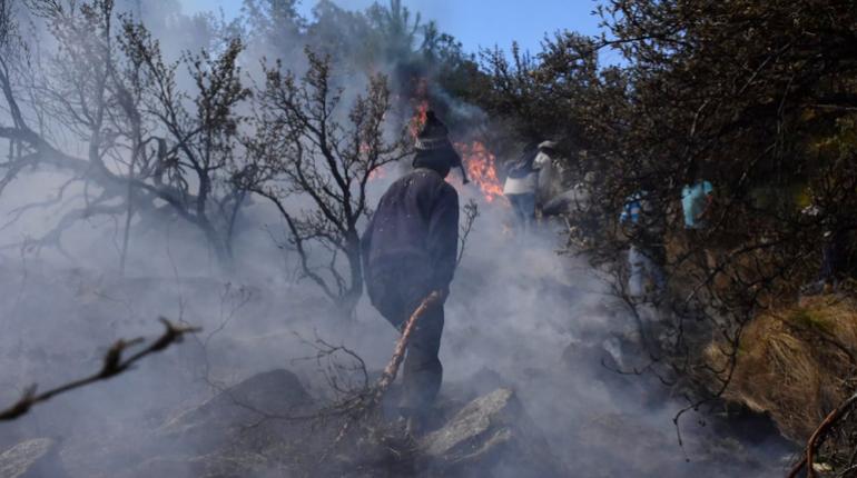 Incendio en el Parque Tunari. | Daniel James