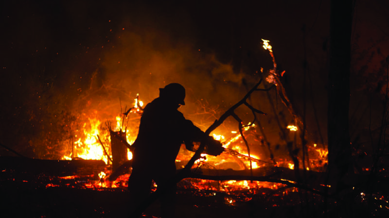 El Banco Central de Bolivia desembolsa Bs 1.400 millones para atender incendios