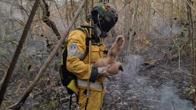 El voluntario que murió en el Tunari pidió a sus mamá esperarlo con cena