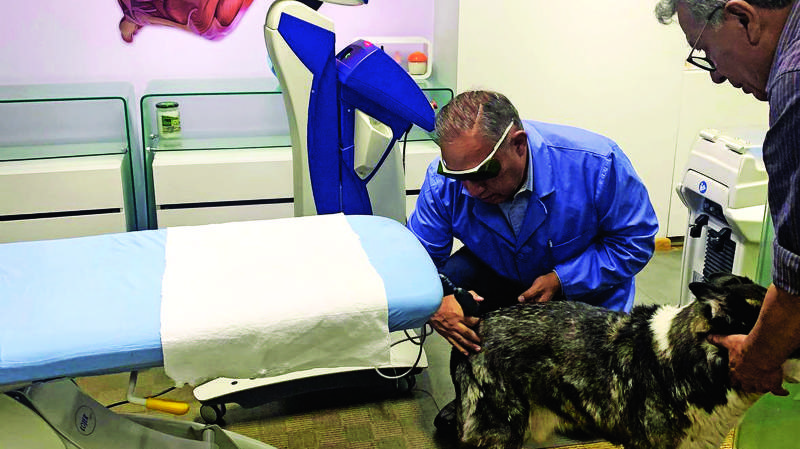 David Rosso, el doctor altruista que trata a perros con cáncer