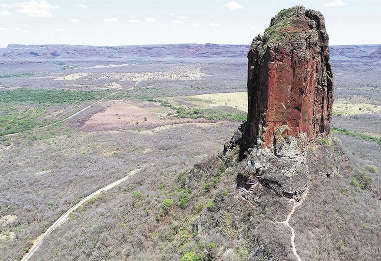 En la Chiquitania se esperan precipitaciones más intensas para que la naturaleza se restaure