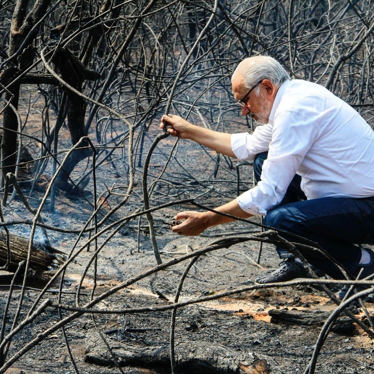 Carlos Mesa, en la zona de los incendios forestales que afectaron en las últimas semanas a Bolivia