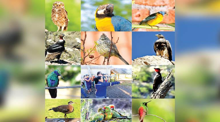 Este sábado 19 de octubre se realizará a nivel mundial el October Big Day. En 2018, el país llegó al cuarto lugar a nivel mundial. Este año, coincidió con las restricciones de las elecciones nacionales.