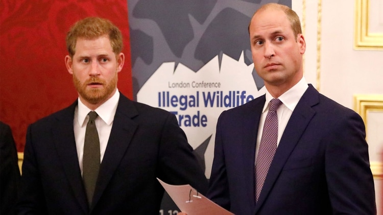 “Hemos tomado un camino diferente”, aseguró recientemente el menor de los príncipes ingleses y así reconoció desacuerdos con su hermano, el tercero en la línea de sucesión al trono (Shutterstock) 