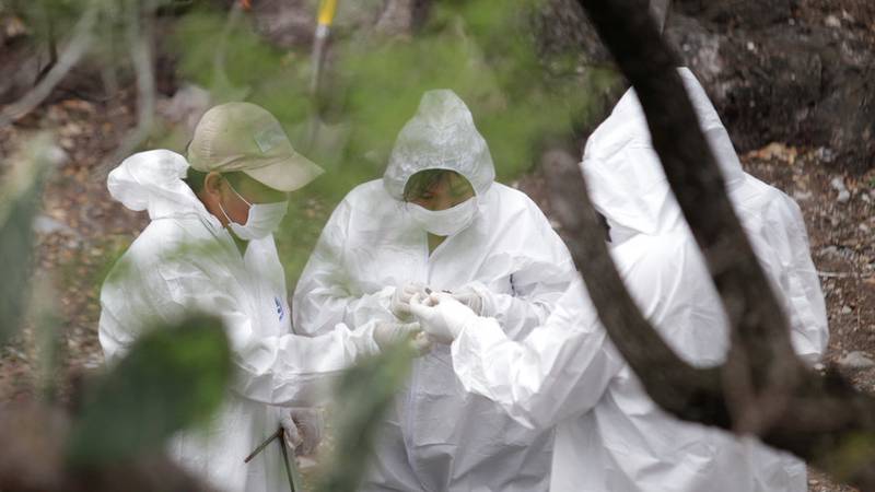 Aumenta a 42 el número de cuerpos encontrados en un terreno abandonado en México