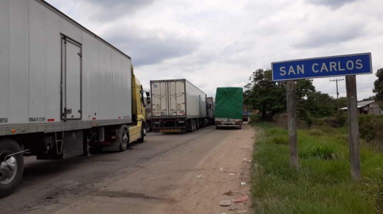Camiones de banano. | Cortesía