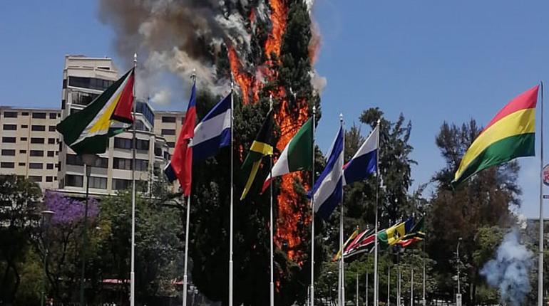 Un emblemático pino de la Plaza de las Banderas fue incendiado.| Foto: Tunari Sin Fuego