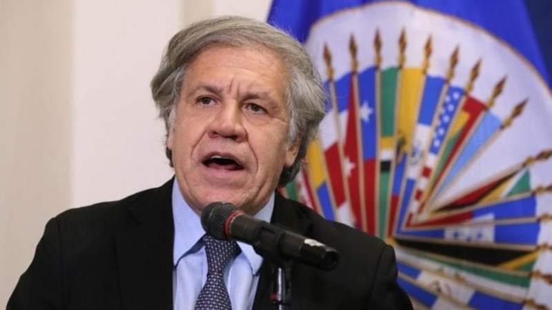 OEA confirma que entre hoy y mañana se instala la misión que auditará la elección electoral
