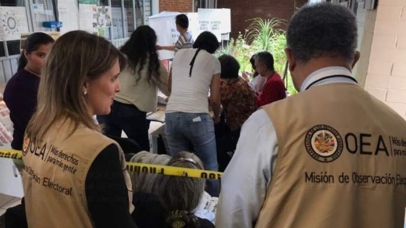 Expertos piden que la auditoría de la OEA esté acompañada por garantes y observadores