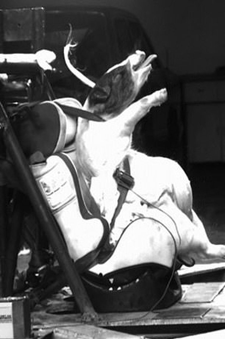 (International Journal of Crashworthiness)