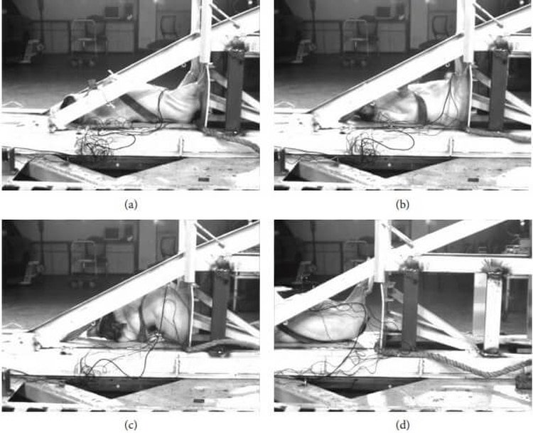 Otra de las imágenes mostradas en el paper que explicó cómo fue el experimento chino con cerdos (International Journal of Crashworthiness)