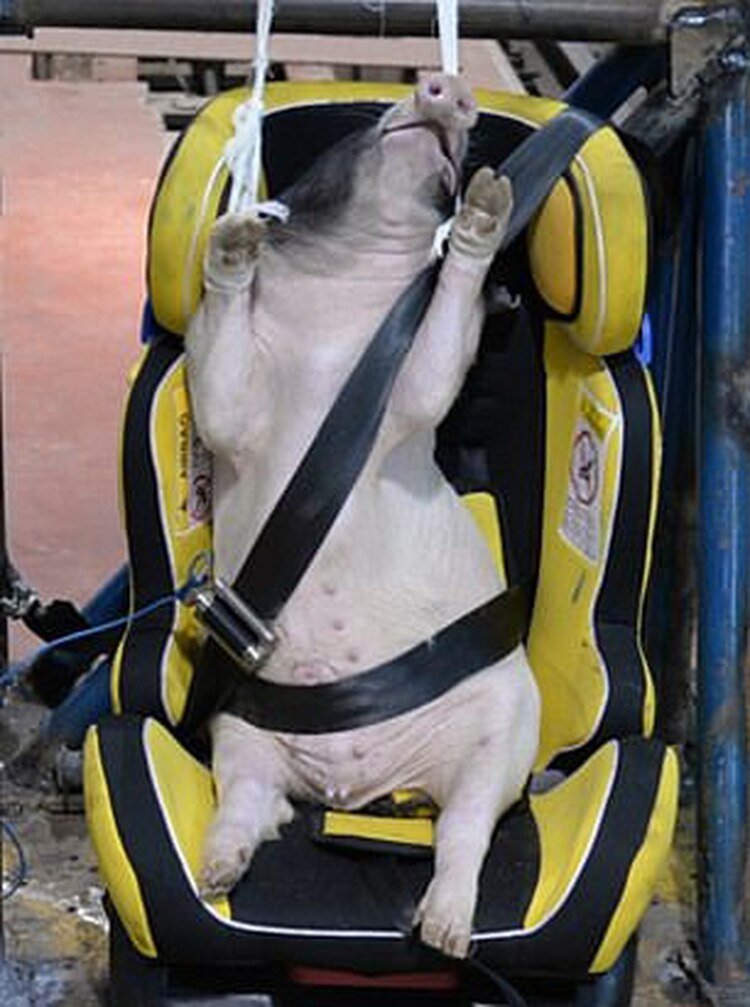 (International Journal of Crashworthiness)