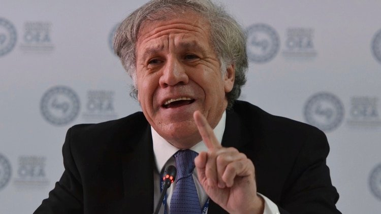 Luis Almagro, secretario general de la OEA