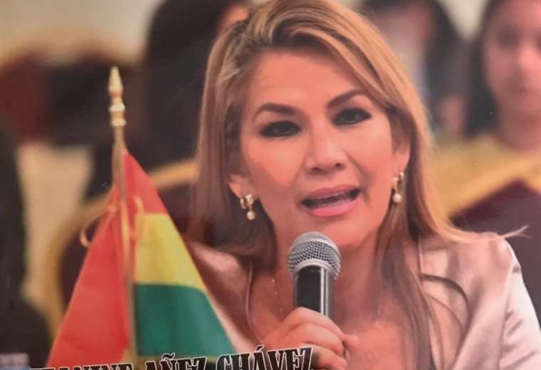 Áñez es senadora del Partido Demócratas