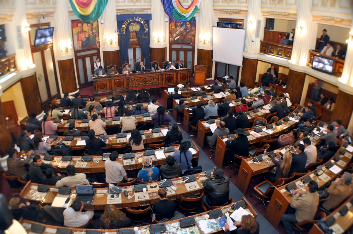 Resultado de imagen para asamblea legislativa de Bolivia 2019