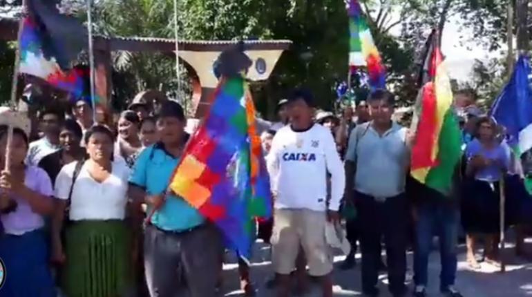 Los productores de la hoja de coca de Carrasco. | Captura de pantalla