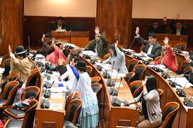 Resultado de imagen para camara de diputados Bolivia