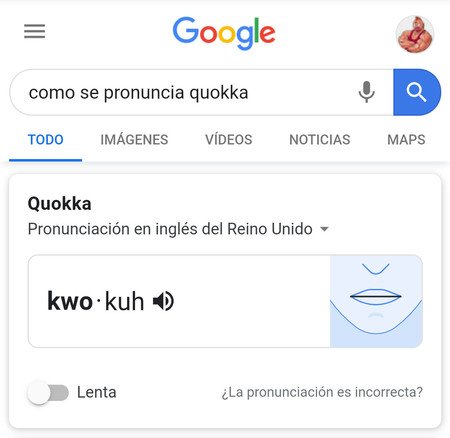 Los divertidos vídeos del traductor de Google pronunciando palabras que  suenan igual en otros idiomas