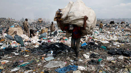 Las políticas para proteger el medioambiente "progresan en sentido equivocado", advierten expertos de la ONU
