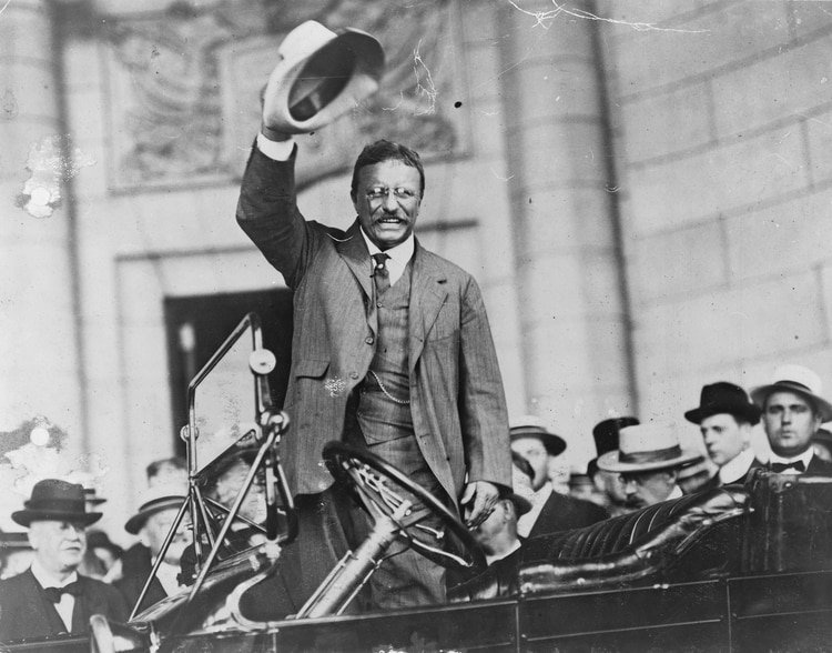 Theodore Roosevelt (Shutterstock)