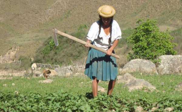 Campesinos de Tarija se alejan de la Federación y desmienten participación en bloqueos