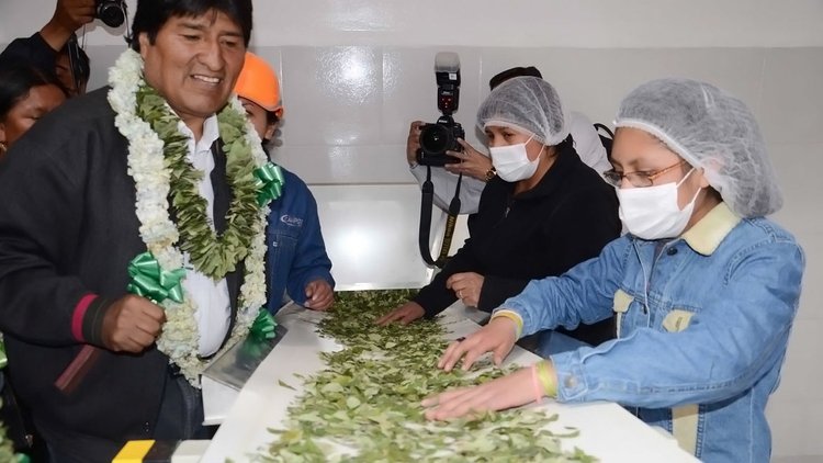 Evo Morales en una planta de procesamiento de coca, la actividad en la que se formó como sindicalista