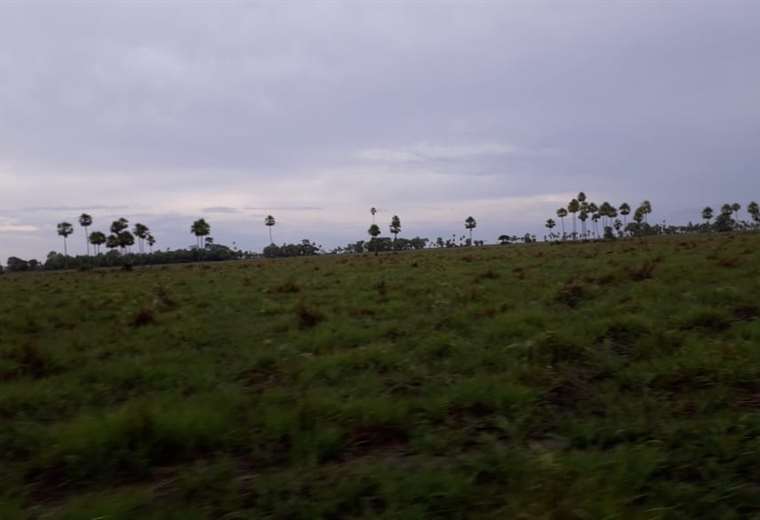 Así luce la zona del Pantanal boliviano, meses después de los incendios