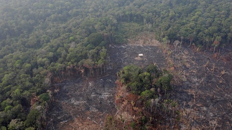 Vista aérea de Humaita, estado del Amazonas, Brasil el 22 de agosto de 2019