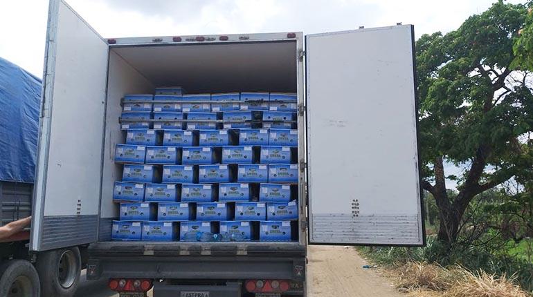 Banano empaquetado en un camión para ser trasladado a Argentina. | Los Tiempos