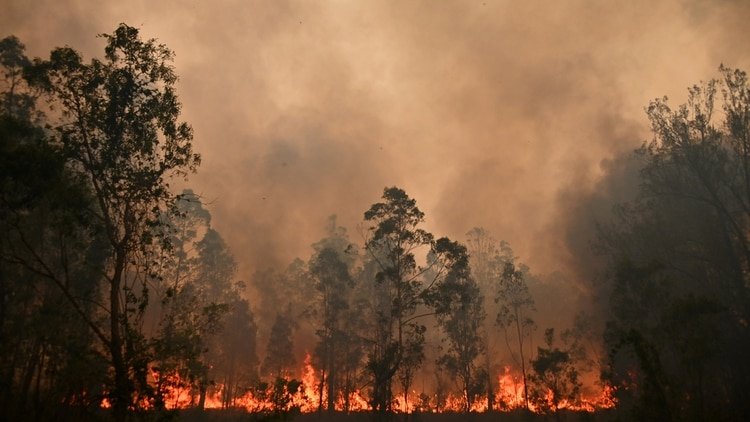 Las llamas son difíciles de sofocar para los bomberos (AFP)