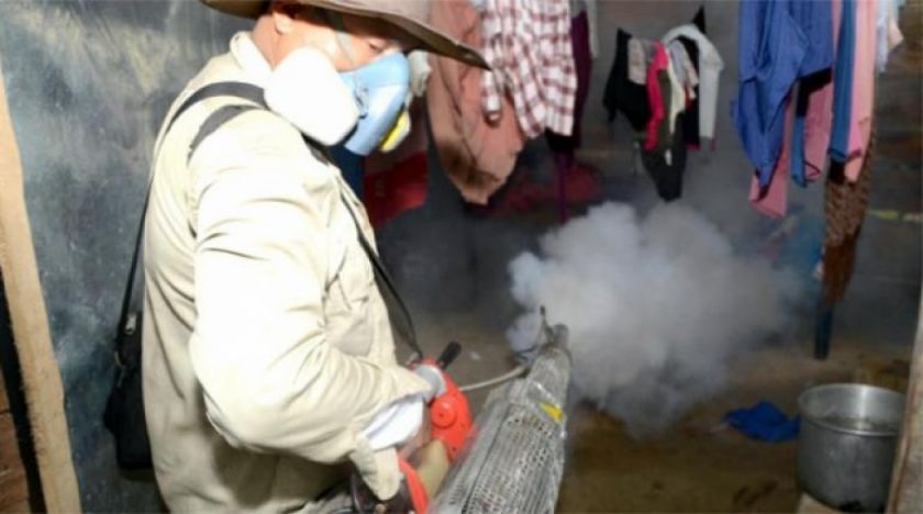 Reportan epidemia de dengue en el trópico de Cochabamba