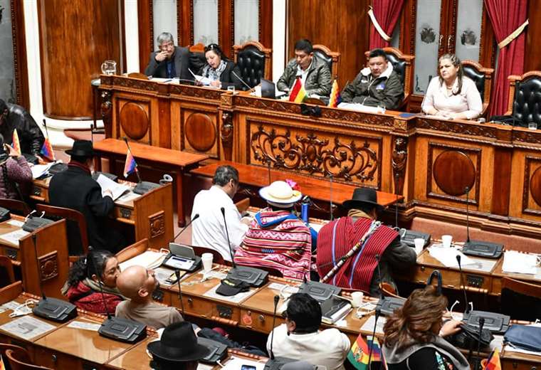 Diputados Aprueban El Proyecto De Ley De Las Elecciones Subnacionales Ejutv