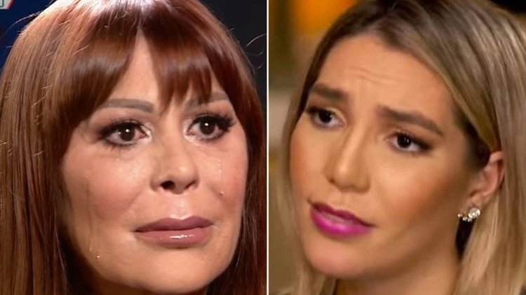 Ambas han aceptado sus responsabilidades en este pleito (Foto: Captura de pantalla Telemundo)
