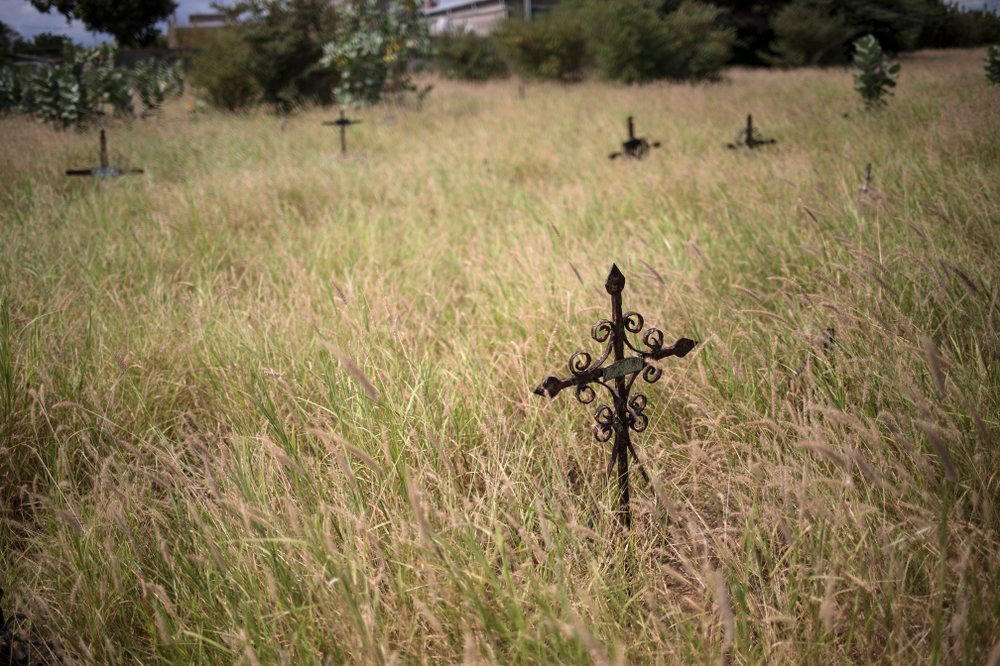 Las cruces marcan tumbas en medio de la hierba cubierta de vegetación en el cementerio Corazón de Jesús en Maracaibo, Venezuela, el 21 de noviembre de 2019. Los ladrones suelen allanar tumbas en busca de objetos de valor, mientras que los cementerios públicos a menudo quedan abandonados, cubiertos de maleza (Foto AP / Rodrigo Abd)