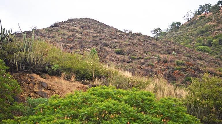El sector quemado del cerro San Pedro. | Pablo Rivera