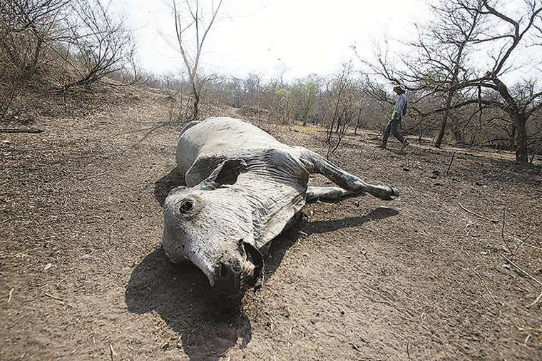 El fuego causó graves pérdidas