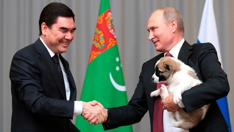 Vladimir Putin sostiene un cachorro Alabai obsequiado por el presidente de Turkmenistán Gurbanguly Berdimuhamedov (Mandatory Credit: Photo by Alexei Druzhinin/Planet Pix Via Zuma)