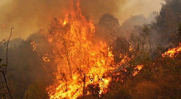 Bolivia: Incendios Forestales Consumieron 5,3 Millones De Hectáreas En ...