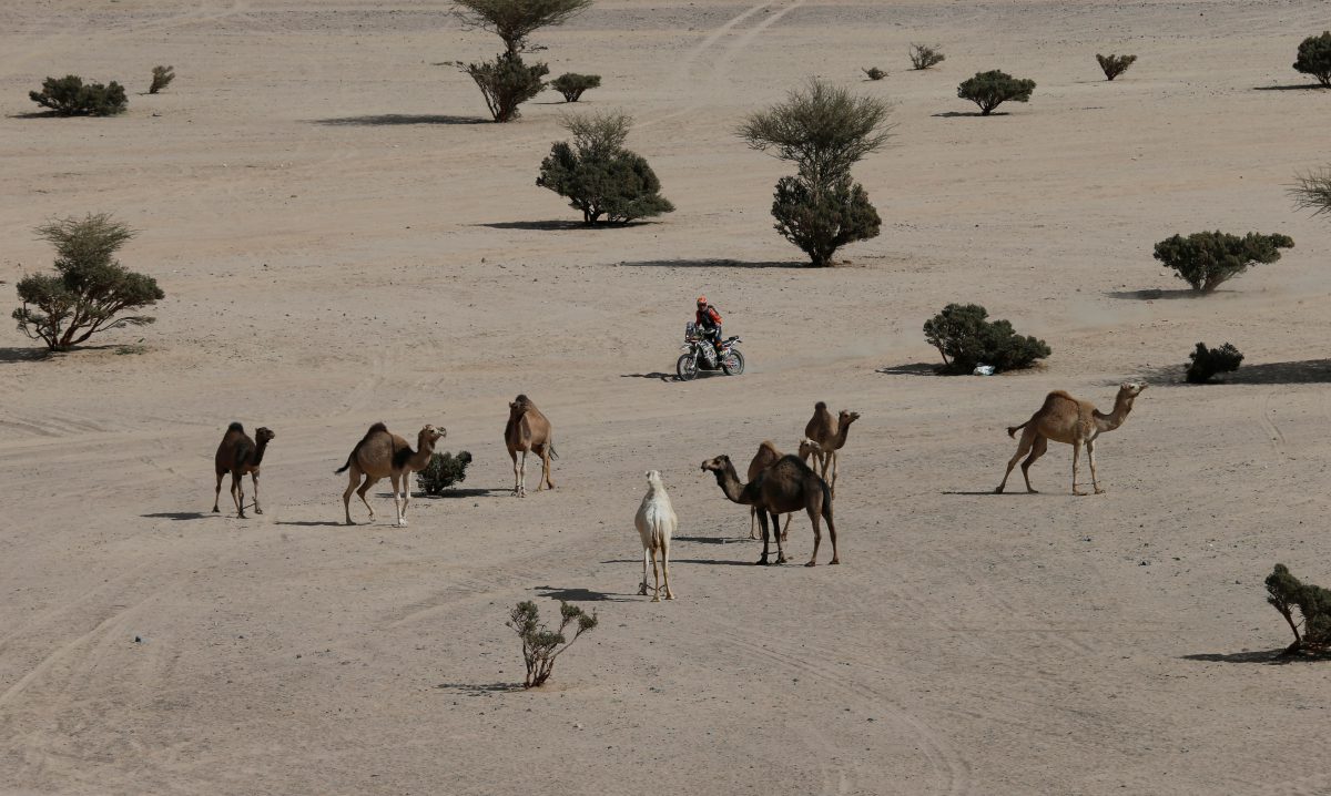 A bordo de su Husqvarna Mirjam Pol completó la etapa en la posición 12 con un tiempo de 5:42:06