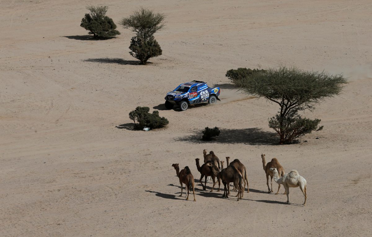 El holandés Erik Van Loon y su copiloto Sebastien Delaunay se ubican en la posición 14 a 47'53'' de Orly Terranova