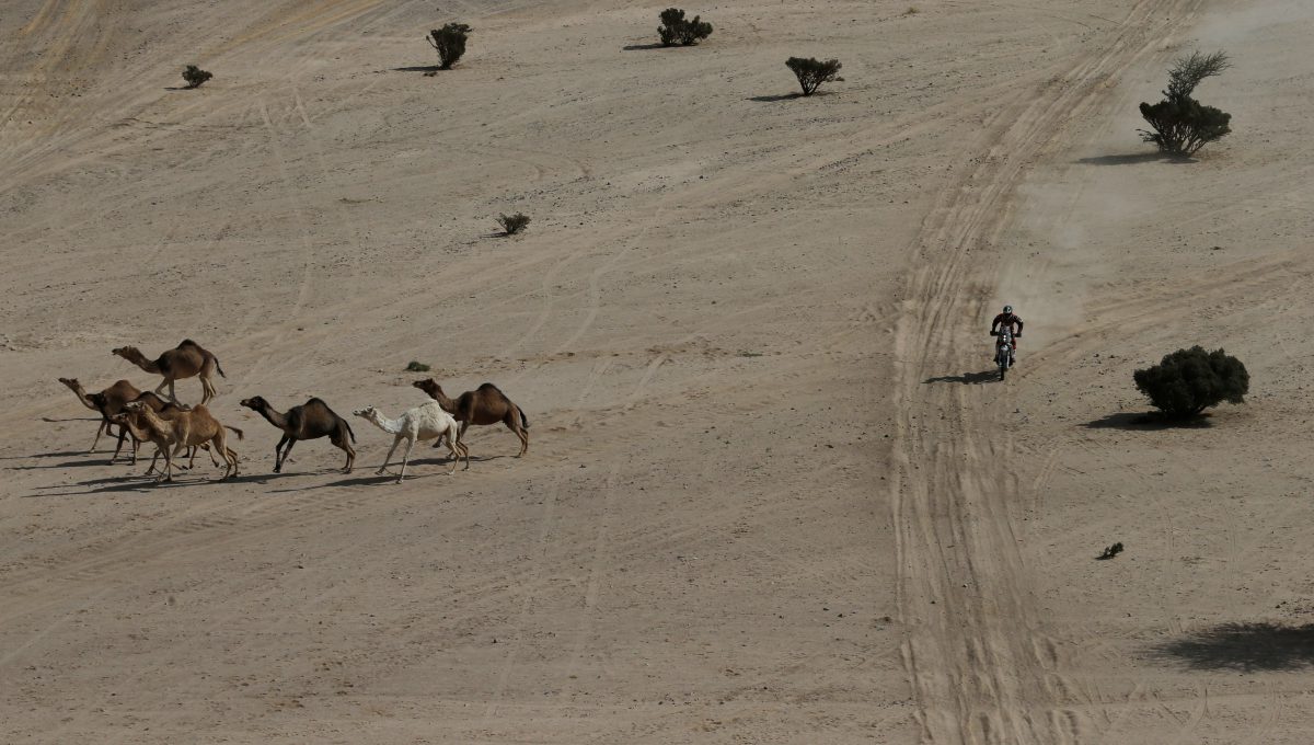 El francés Charlie Herbst (KTM) registra un tiempo general de 10:18:06 que lo ubica en el 12do puesto de las motos
